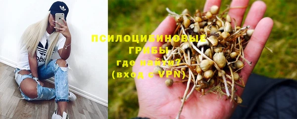 винт Беломорск