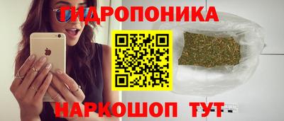 ПСИЛОЦИБИНОВЫЕ ГРИБЫ Можга