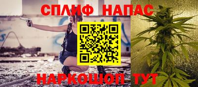 apvp Моздок