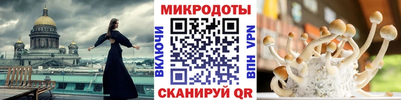 блэк спрут маркетплейс  Великие Луки  Псилоцибиновые грибы Psilocybe 