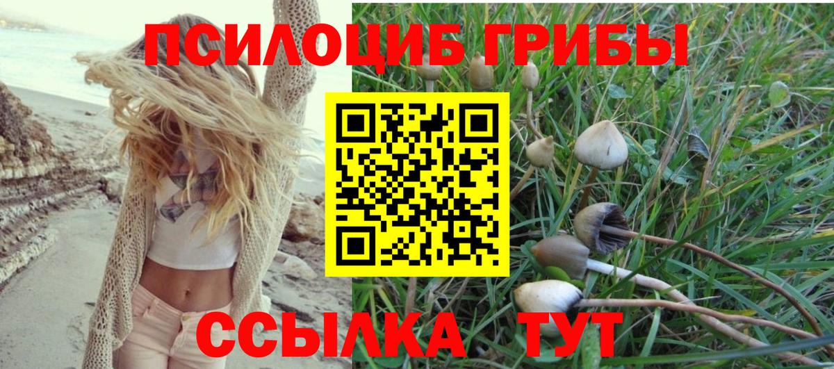 Галлюциногенные грибы Cubensis Великие Луки