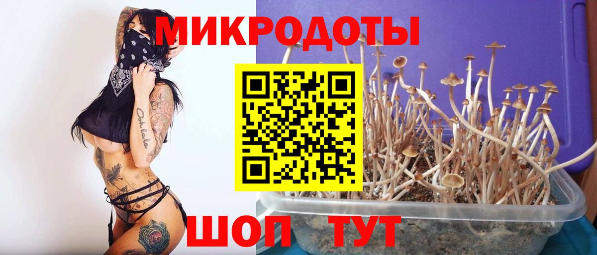 Великие Луки  Галлюциногенные грибы мицелий  Вход с VPN 