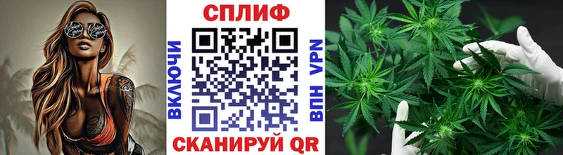 МАРИХУАНА Amnesia  Великие Луки 